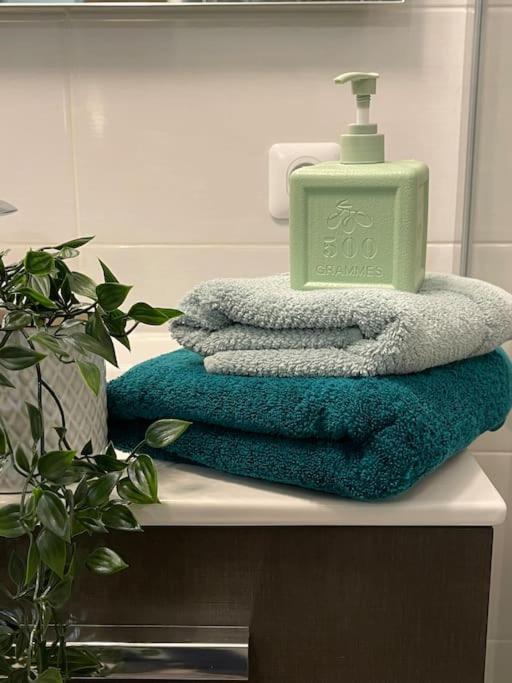 Appartement Familial 8 Personnes Proche De Disney Et Paris Chessy  Dış mekan fotoğraf